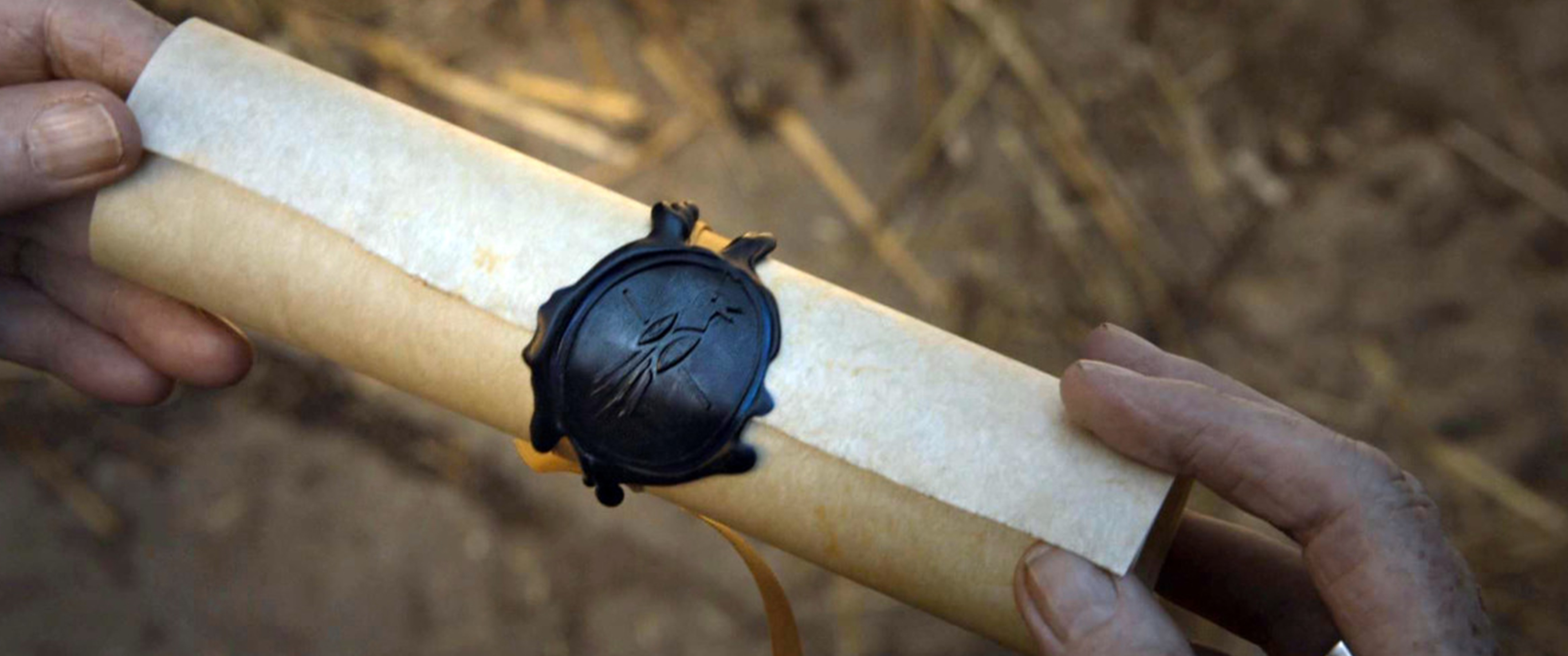 L'image ne s'est pas chargée avec succès. Veuillez réinitialiser la page.